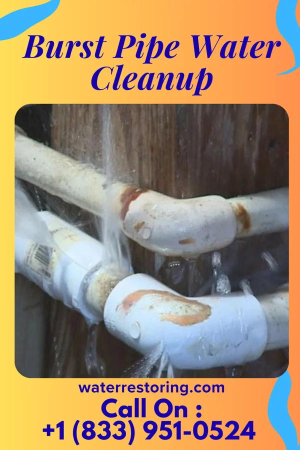 Burst Pipe Water Cleanup in Lambs Grove, IA