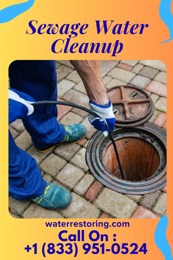 Sewage Water Cleanup in Lambs Grove, IA